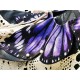 Yolanda Fleurs Avec Isabella Butterfly Collar and Hair Clips(Leftovers/7 Colours)